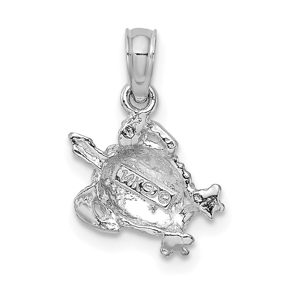 14K Weißgold Strukturiert Meer Schildkröte Charm