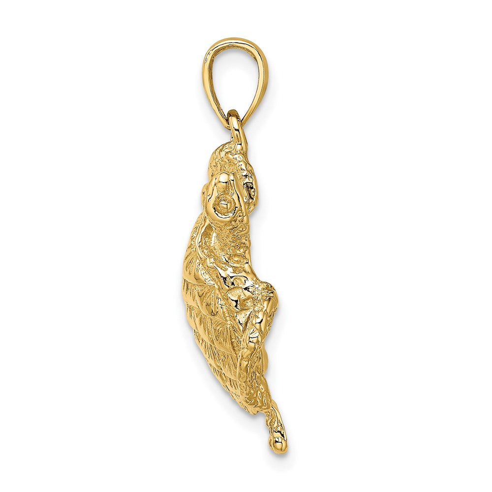 14K Gelbgold Charm Meeresschildkröte strukturiert