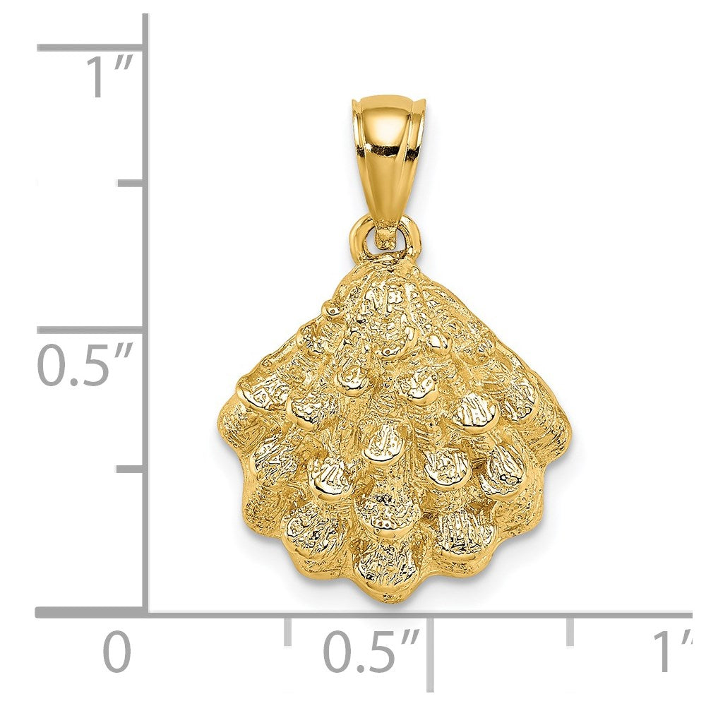 14K Gelbgold Charm Austernschale strukturiert