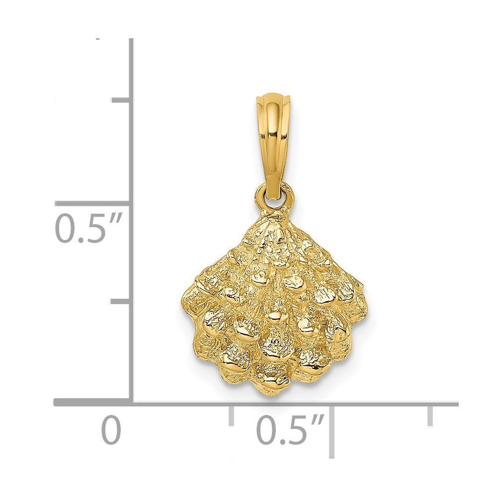 14K Gelbgold Charm Austernschale strukturiert