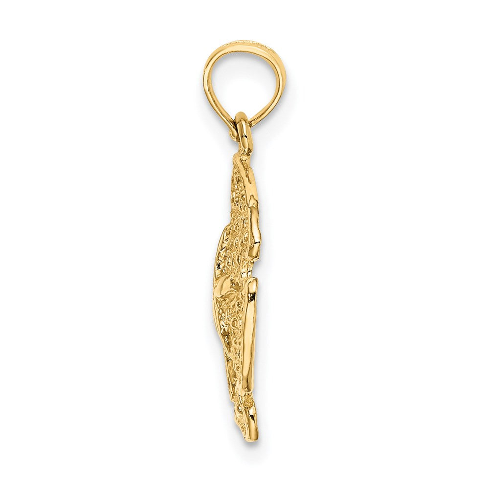14K Gelbgold Polierter Sanddollar-Charm