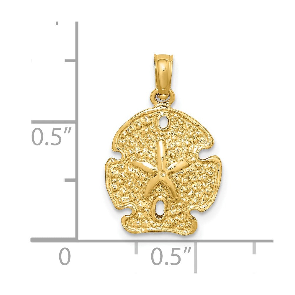 14K Gelbgold Polierter Sanddollar-Charm