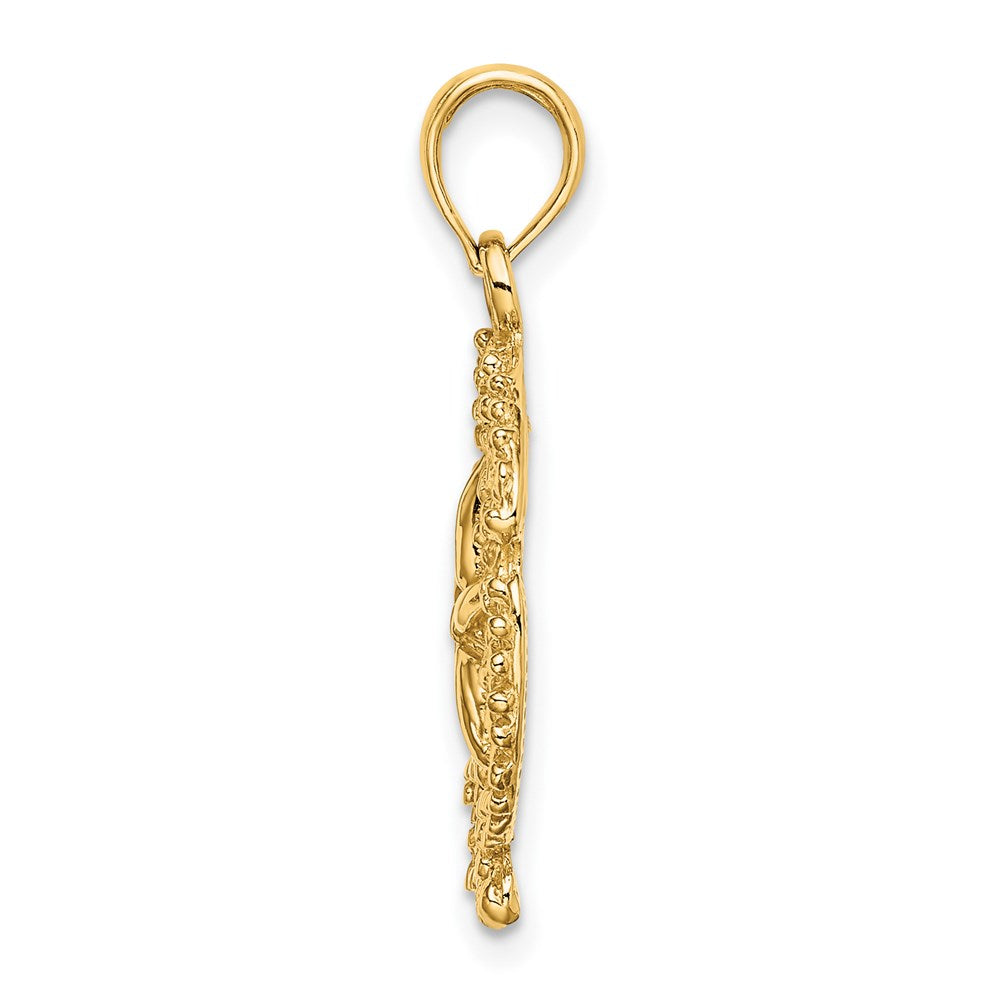 14K Gelbgold Sanddollar-Charm mit strukturierter Oberfläche