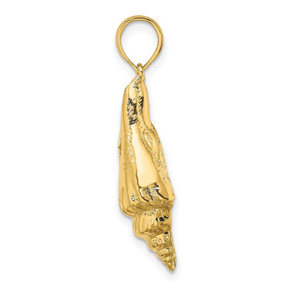 14K Gelbgold Polierter Länglicher Muschel-Charm