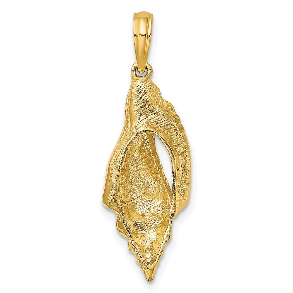 14K Gelbgold Polierter Länglicher Muschel-Charm