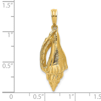 14K Gelbgold Polierter Länglicher Muschel-Charm