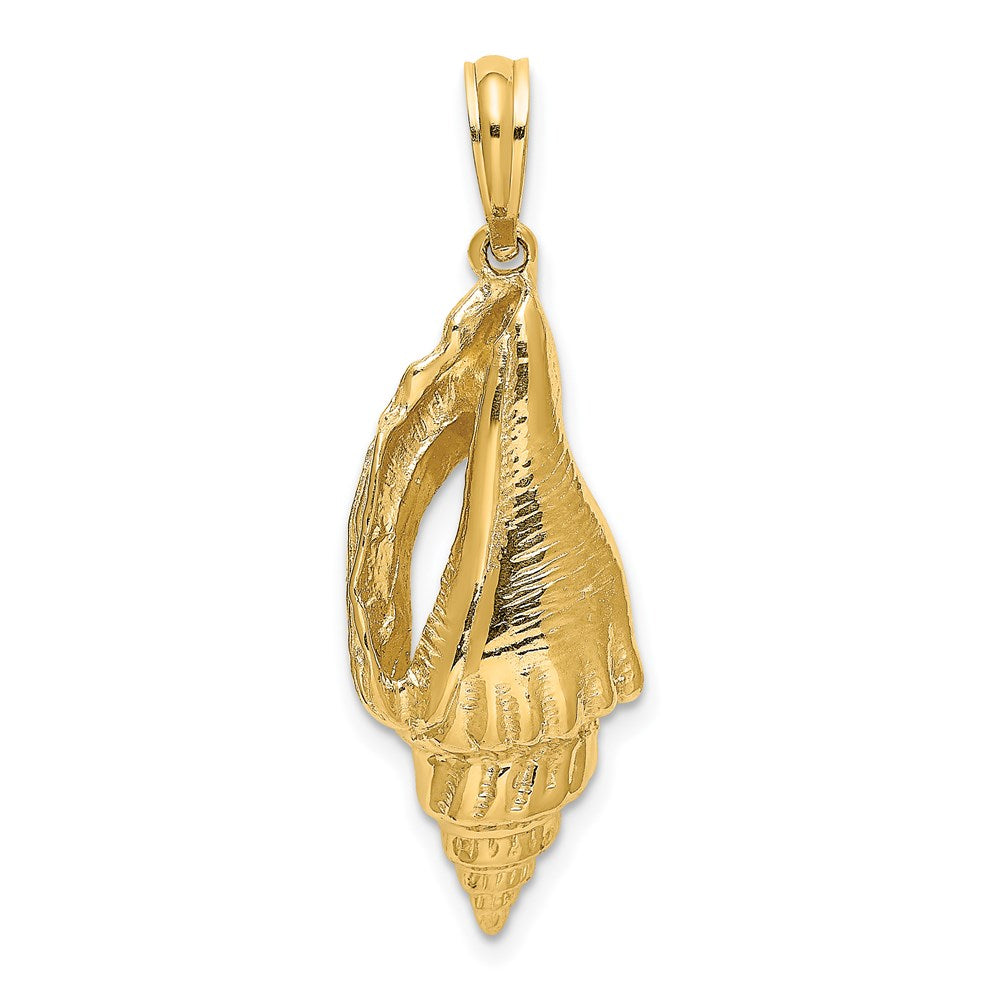 14K Gelbgold Polierter Länglicher Muschel-Charm