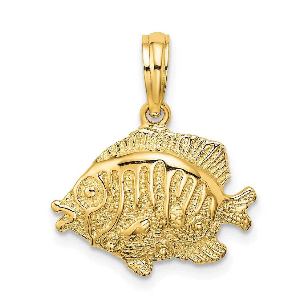 14K Gelbgold Polierter/Texturierter Fisch-Charm