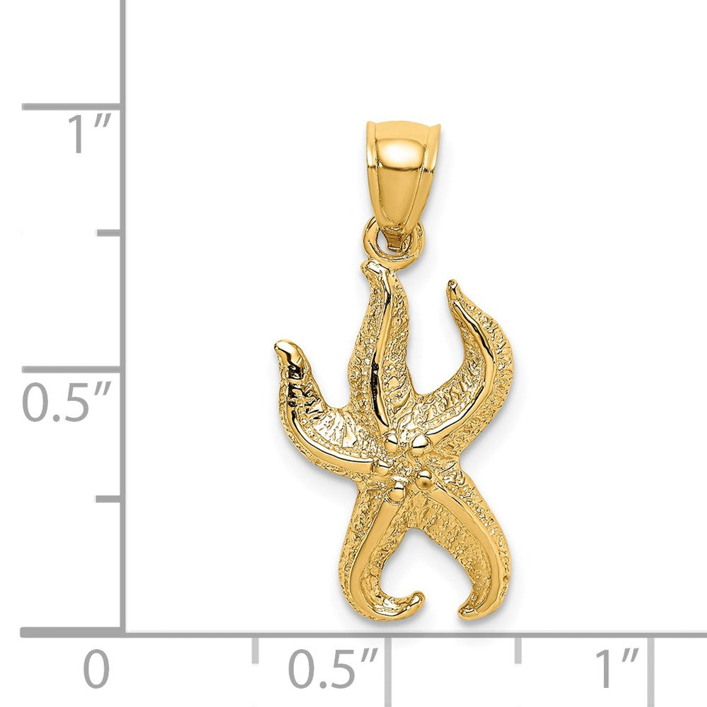 14K Gelbgold Seestern-Charm mit strukturierter Oberfläche