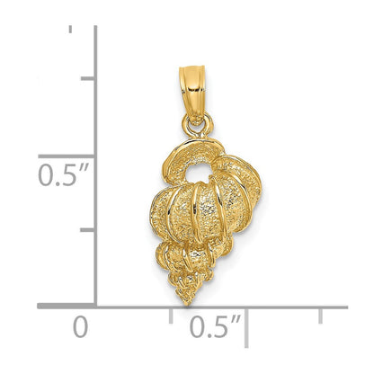 14K Gelbgold Wendeltreppen-Muschel-Charm
