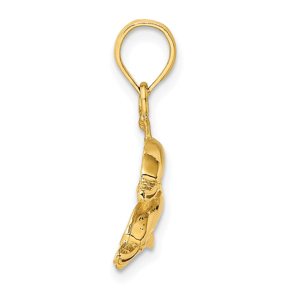 14K Gelbgold Charm mit Delfinen, poliert/graviert