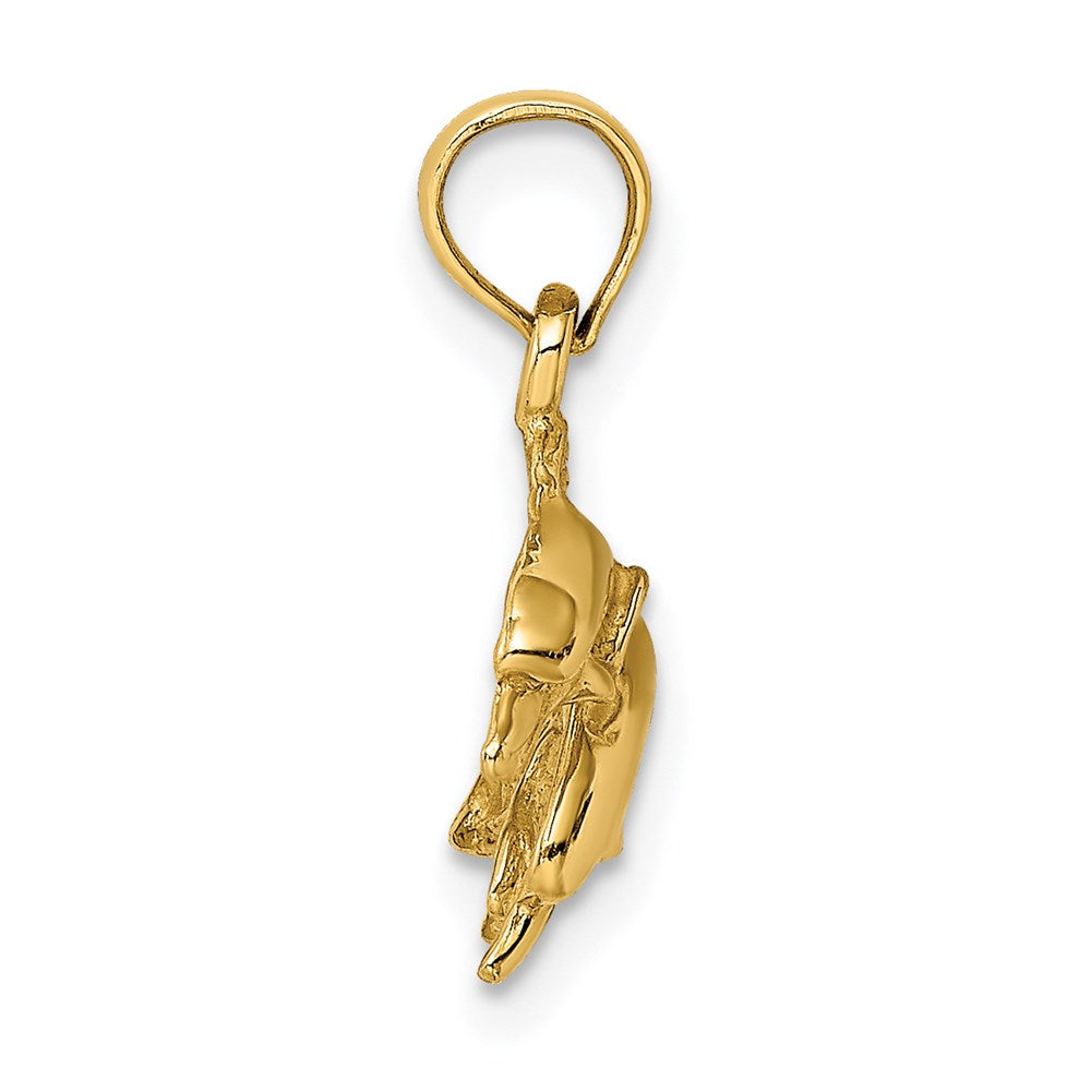 14K Gelbgold Charm, zwei springende Delfine, poliert, 2-D, nach links springend