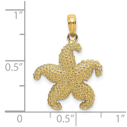 14K Gelbgold Seestern-Charm