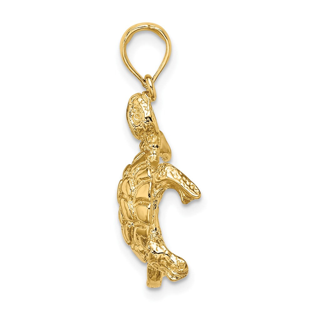 14K Gelbgold Poliert und Strukturiert Schildkröte Charm