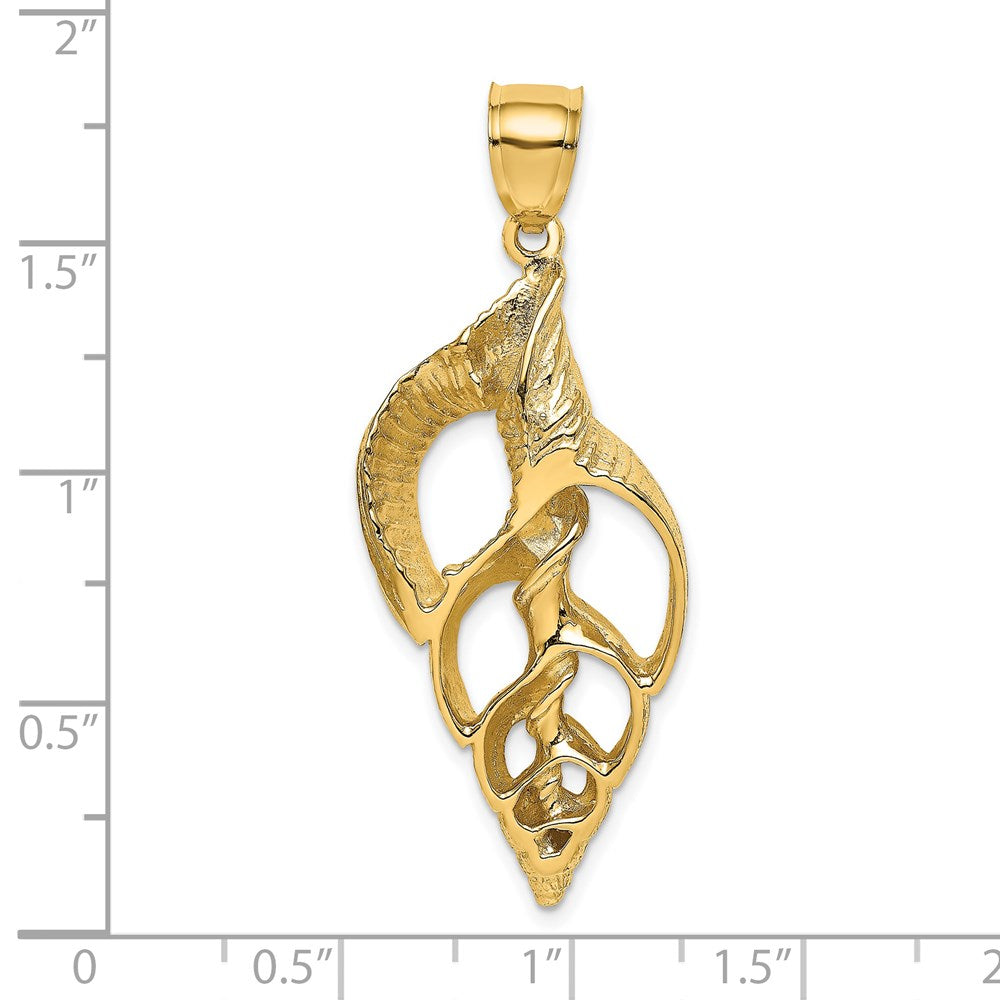 14K Gelbgold Ausgeschnittener Muschel-Skelett-Charm (Conch-Muschel)