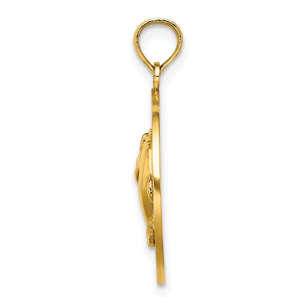 14K Gelbgold Mystic-ct. Delfine-Charm