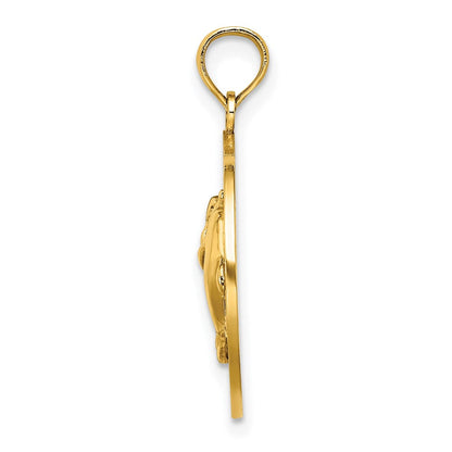 14K Gelbgold Mystic-ct. Delfine-Charm