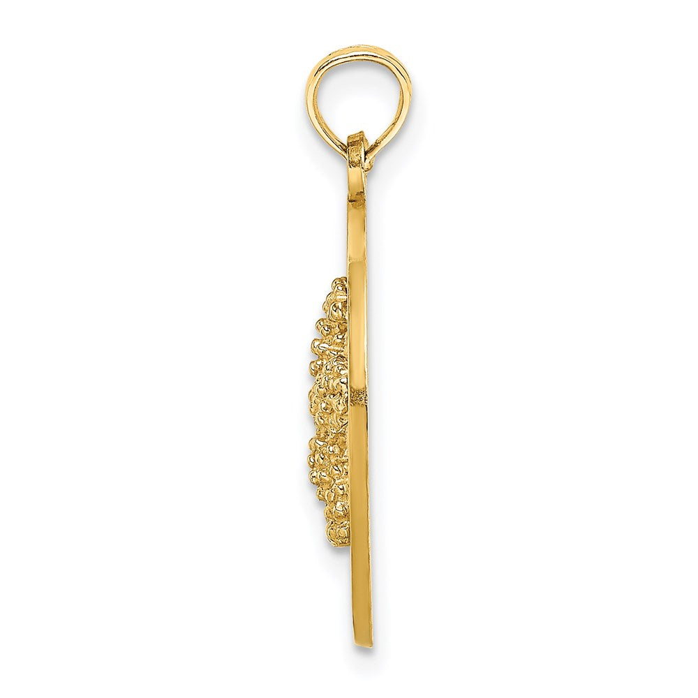 14K Gelbgold SANIBEL Charm mit Seestern-Kreis