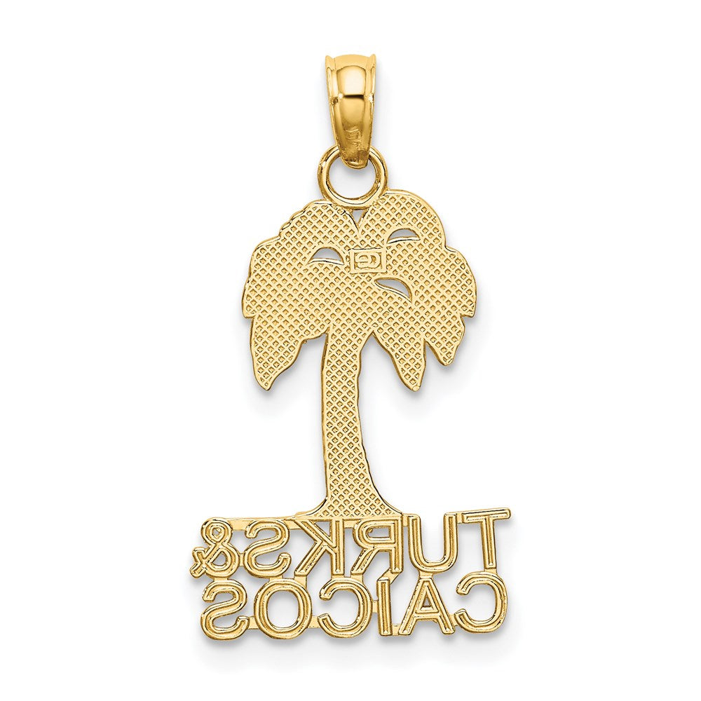 14K Gelbgold Turks und Caicos Palme Baum Charm