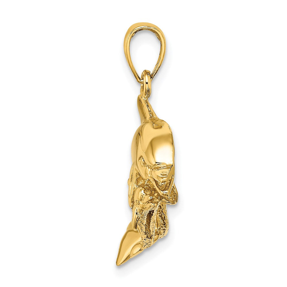 14K Gelbgold 2-D Zwei schwimmende Delfine Charm