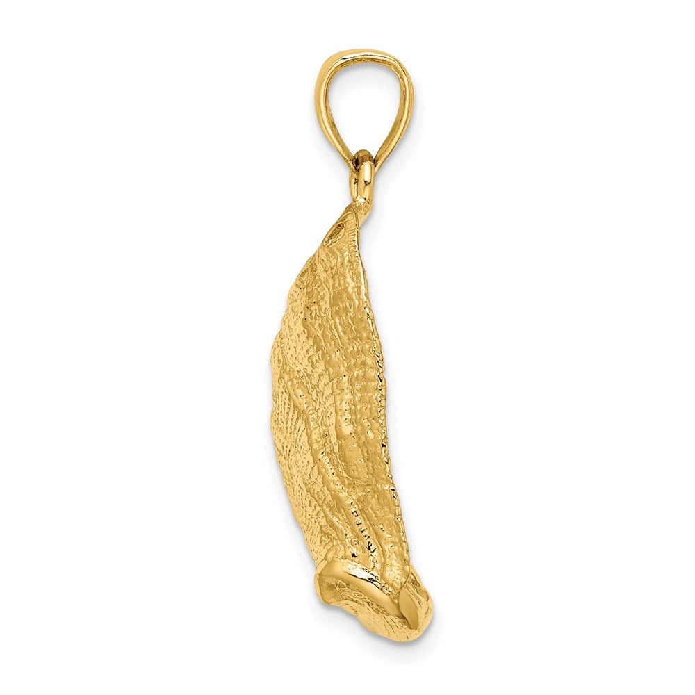 14K Gelbgold Abalone-Muschel-Charm