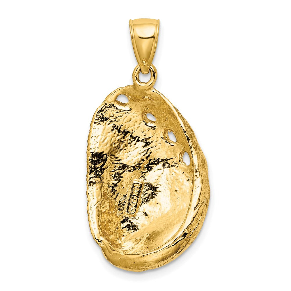 14K Gelbgold Abalone-Muschel-Charm
