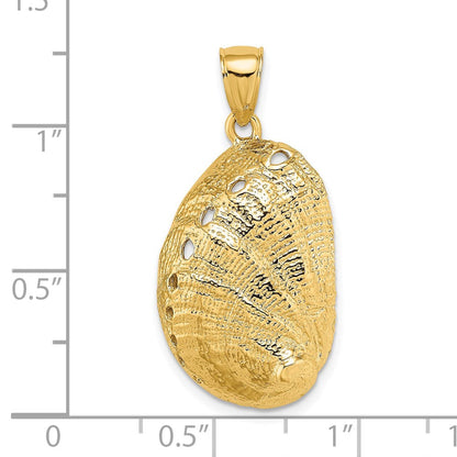 14K Gelbgold Abalone-Muschel-Charm
