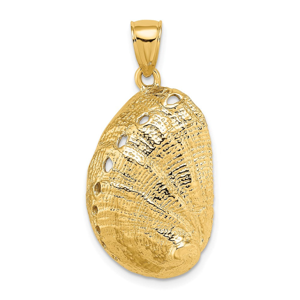 14K Gelbgold Abalone-Muschel-Charm