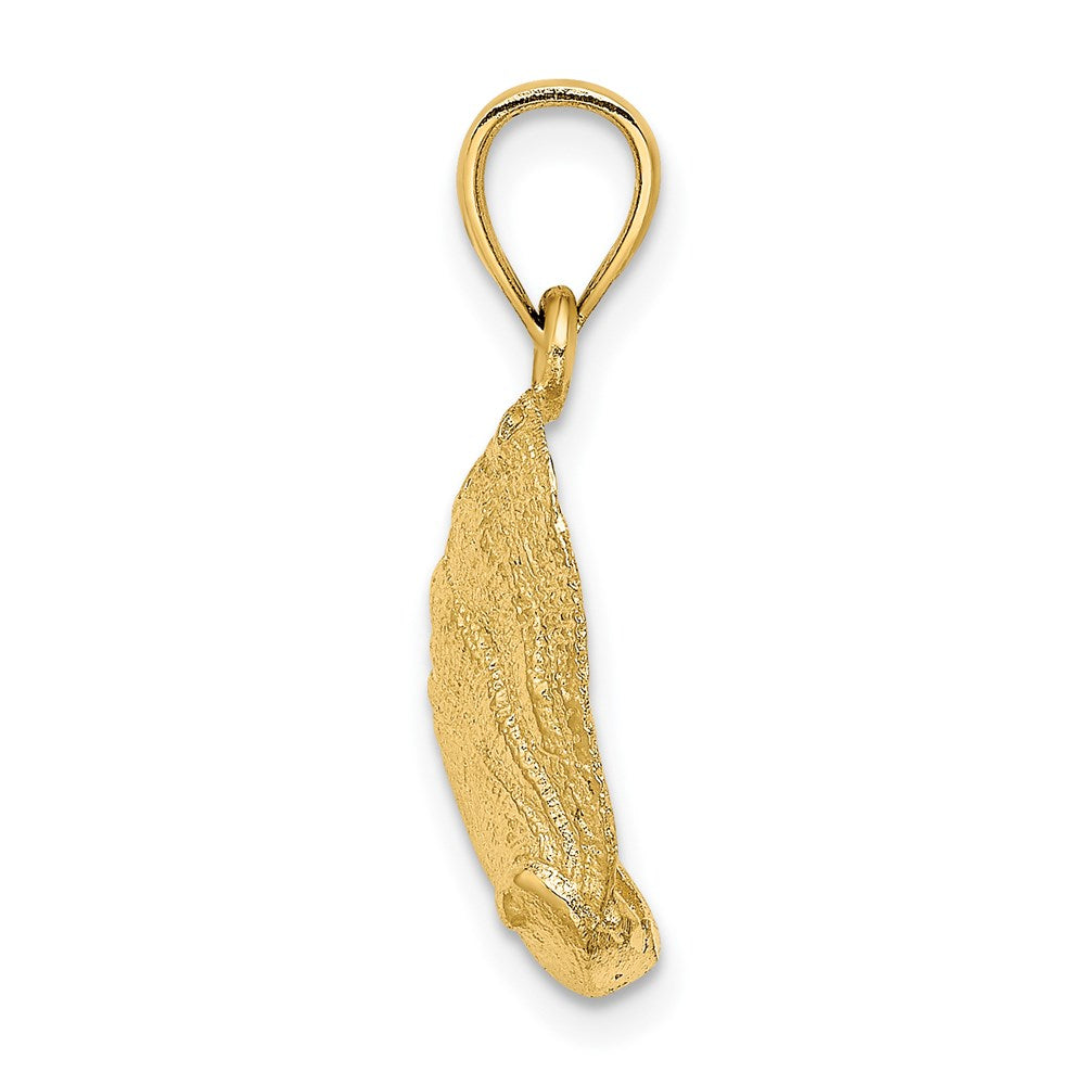 14K Gelbgold Abalone-Muschel-Charm