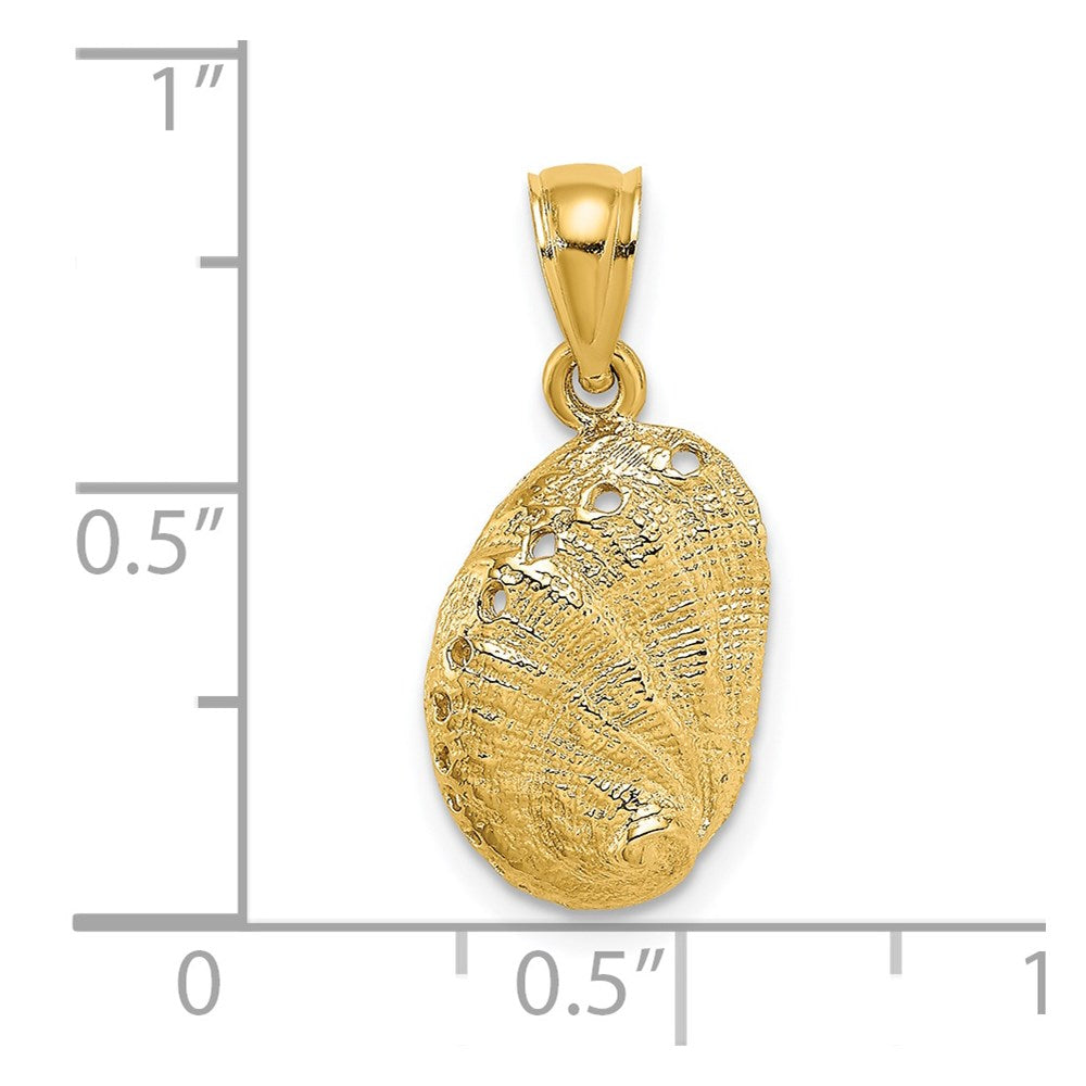 14K Gelbgold Abalone-Muschel-Charm