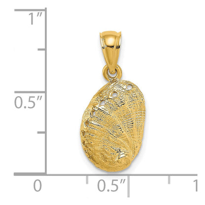 14K Gelbgold Abalone-Muschel-Charm