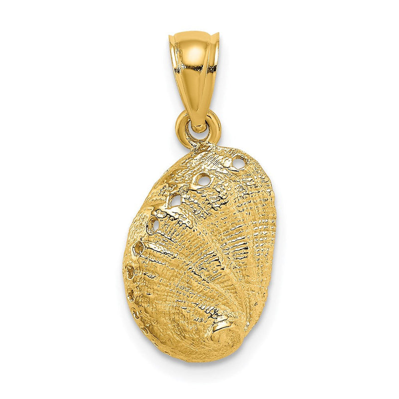 14K Gelbgold Abalone-Muschel-Charm