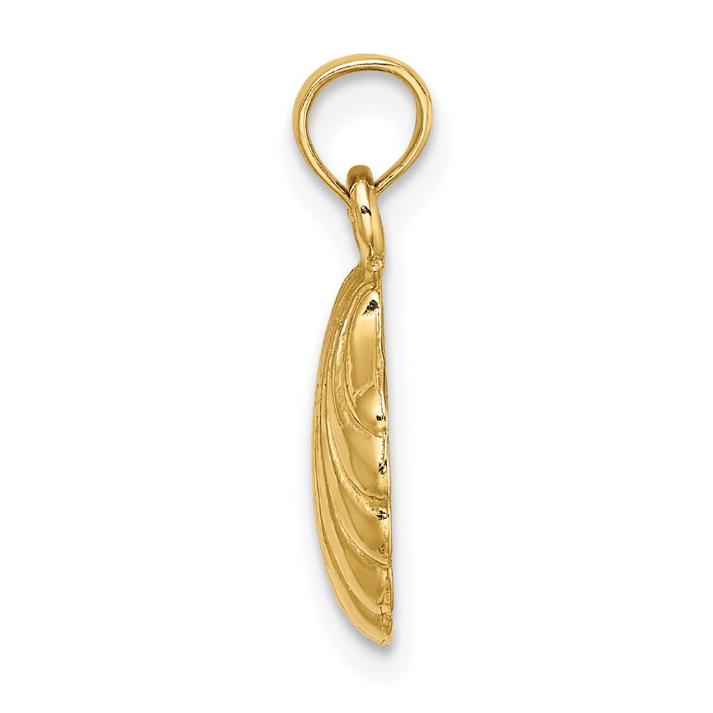 14K Gelbgold Poliert Muschel Charm