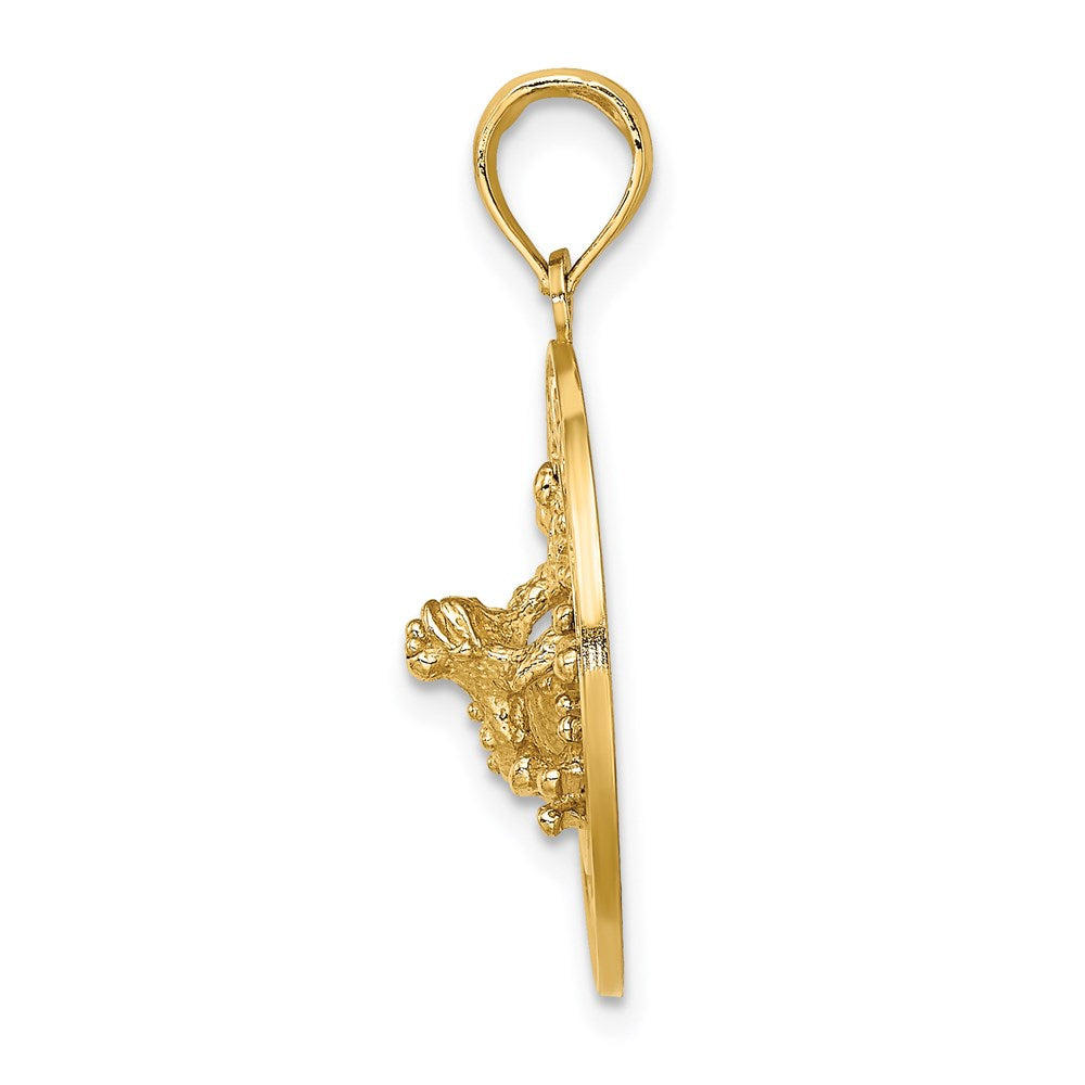 14K Gelbgold SARASOTA Charm mit Frosch-Kreis-Anhänger
