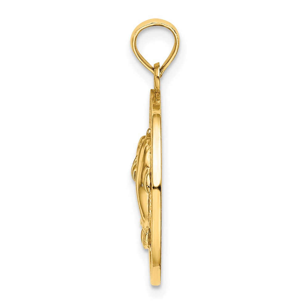 14K Gelbgold Turks- und Caicos-Charm mit Delfinen im Kreis