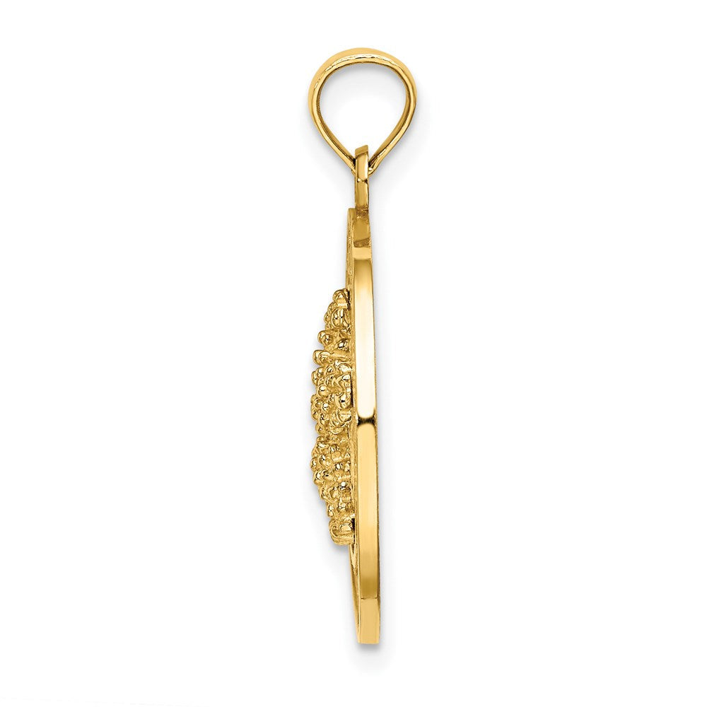 14K Gelbgold TURKS AND CAICOS Charm mit Seestern-Kreis