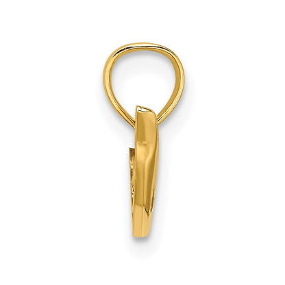 14K Gelbgold Poliert Mini Delfin Charm