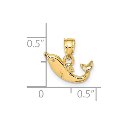 14K Gelbgold Poliert Mini Delfin Charm
