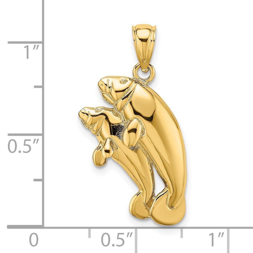 14K Gelbgold 2-D/Poliert Zwei Manatis Charm