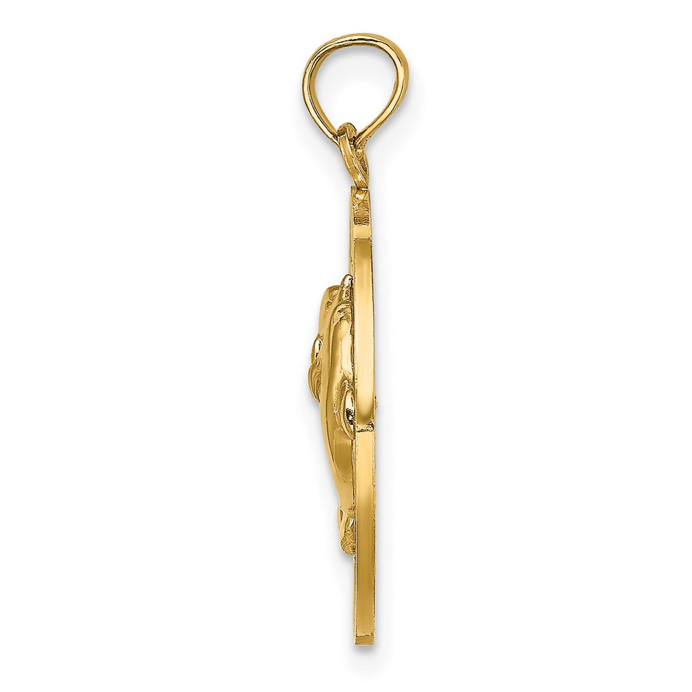 14K Gelbgold Rund-Charm „St. Thomas" mit Delfinen