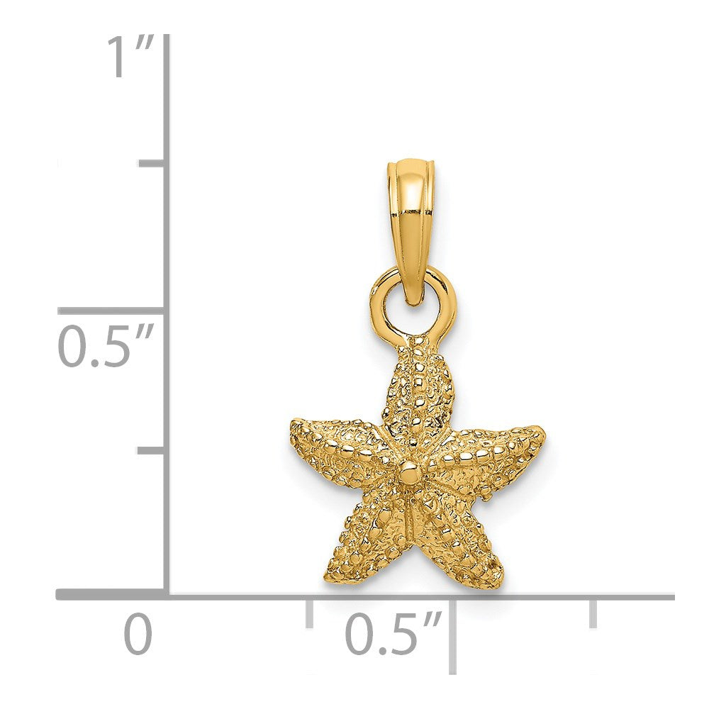 14K Gelbgold Seestern-Charm