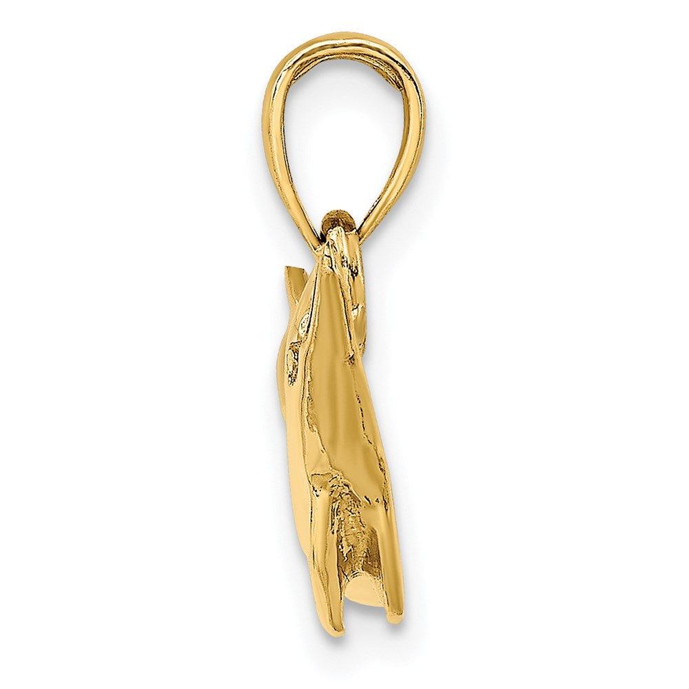 14K Gelbgold Polierter Delfin-Charm