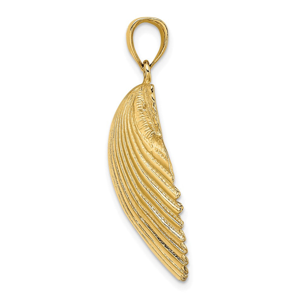 14K Gelbgold 3-D Muschelschale-Charm mit Struktur