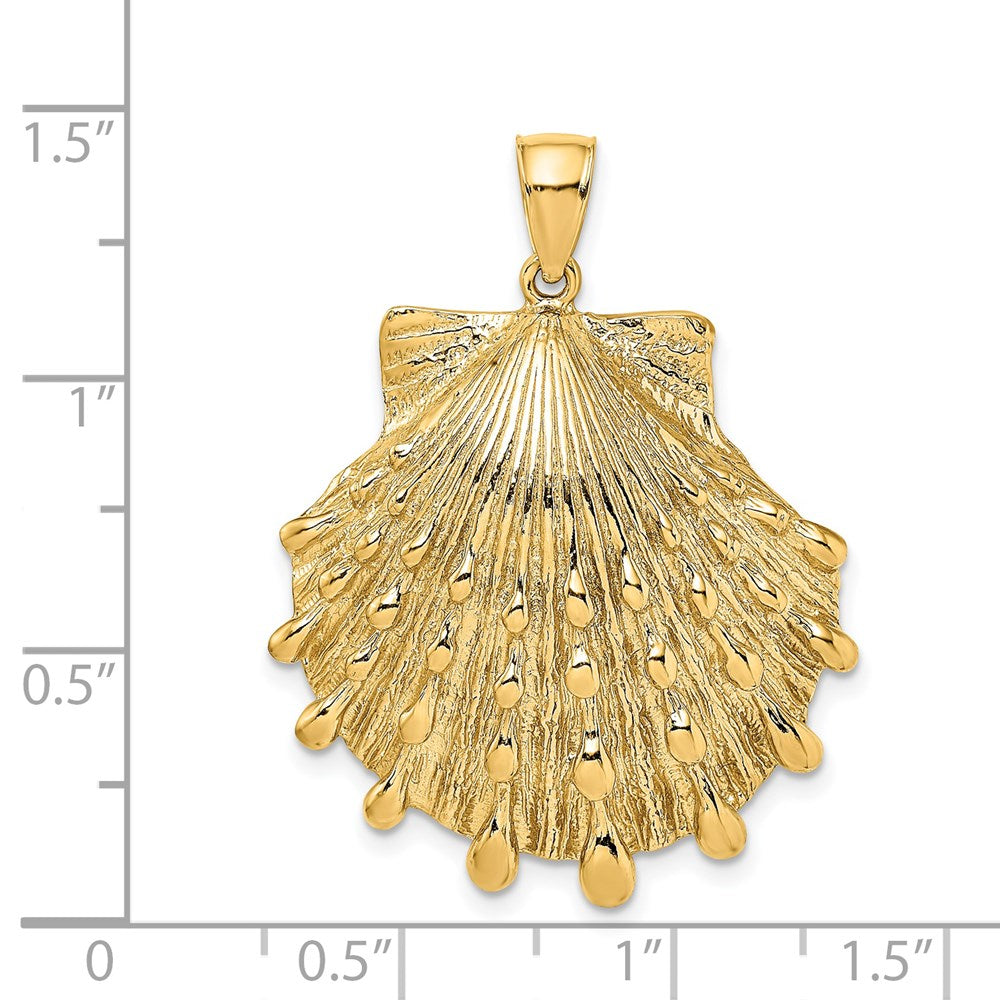 14K Gelbgold Löwenpfoten-Muschel-Charm