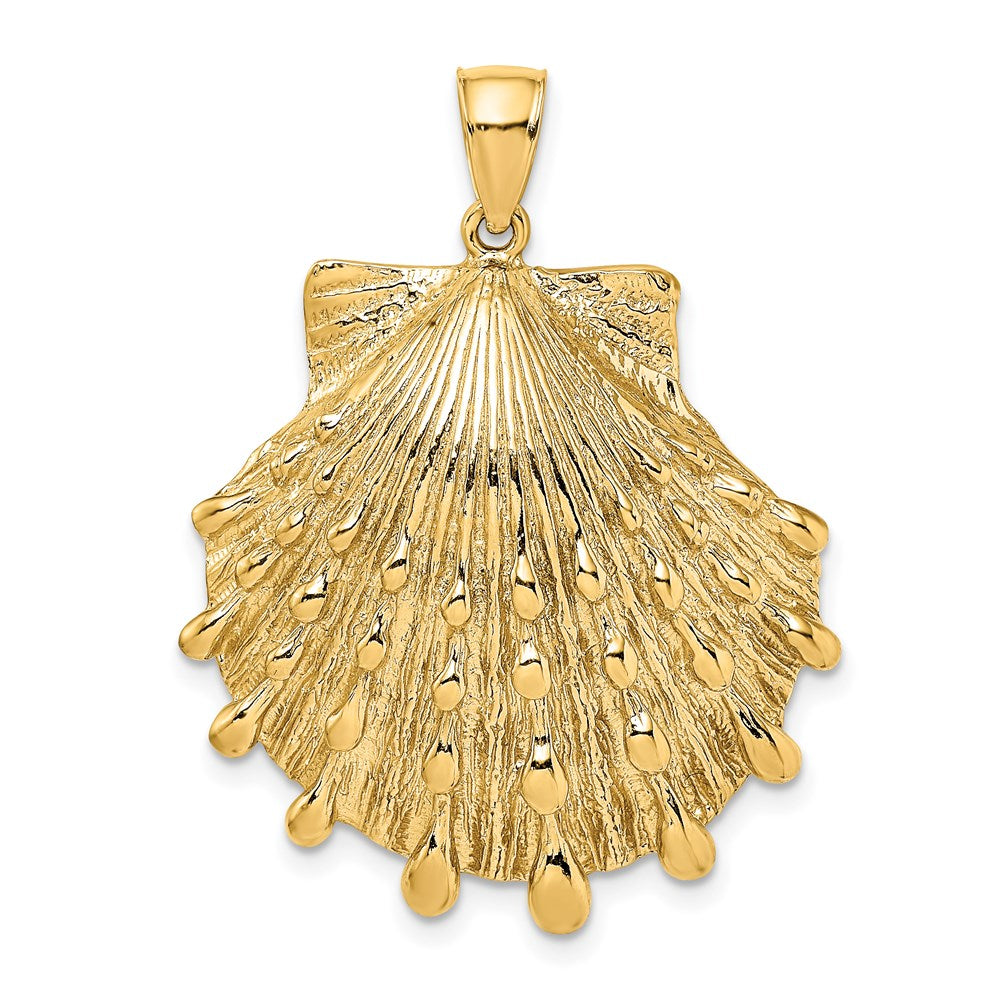 14K Gelbgold Löwenpfoten-Muschel-Charm