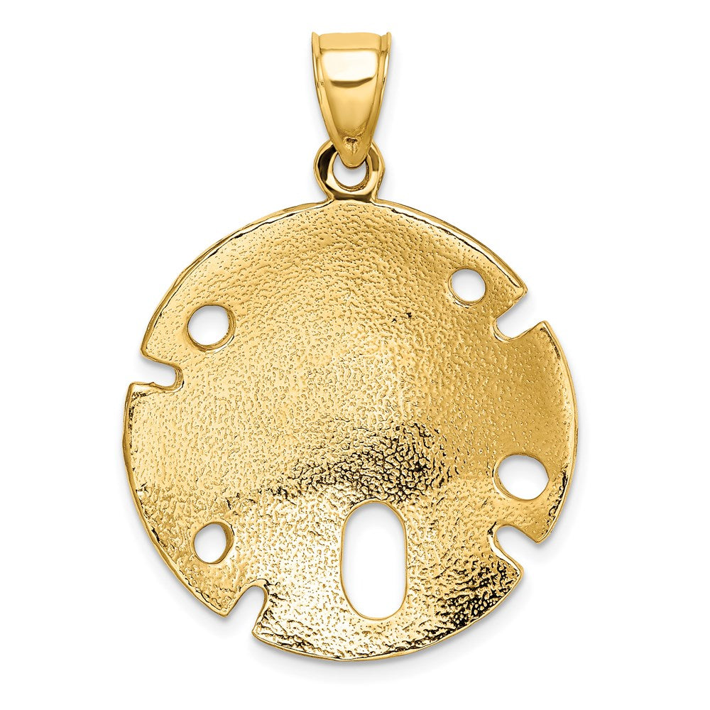 14K Gelbgold Polierter und Strukturierter Großer Sand-Dollar-Charm