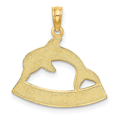 14K Gelbgold HAWAII Delfin-Charm