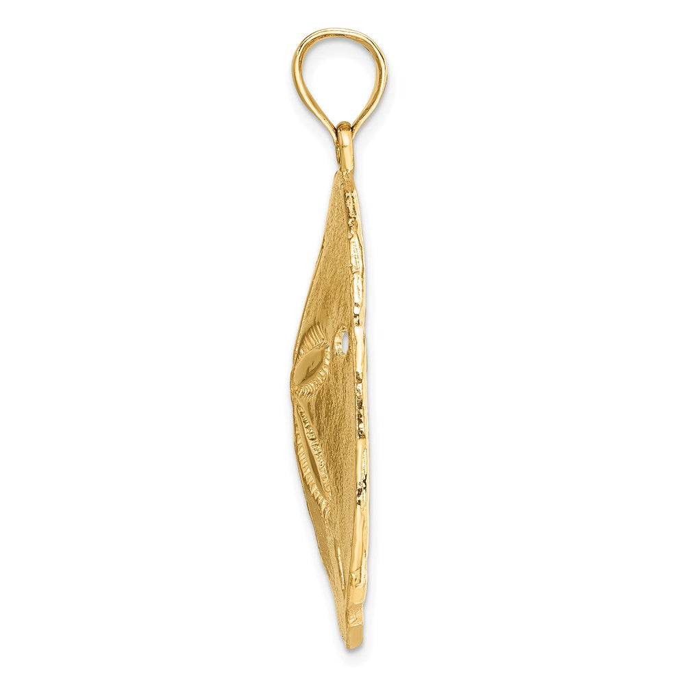 14K Gelbgold Polierter Sanddollar-Charm