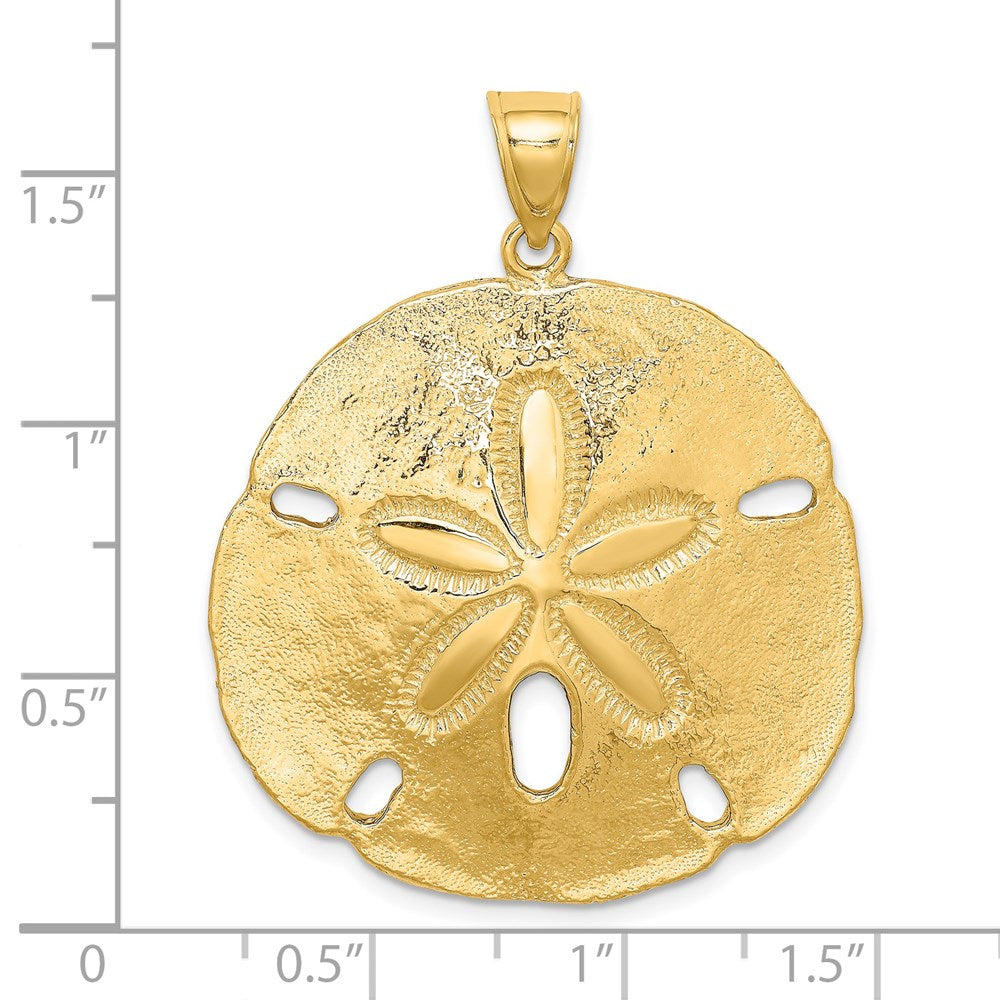 14K Gelbgold Polierter Sanddollar-Charm