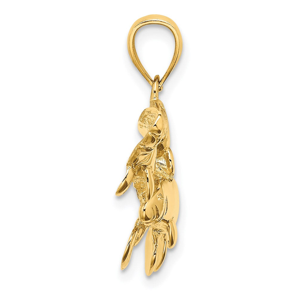 14K Gelbgold 2-D / Poliert Drei Manatis Charm
